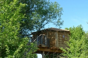 Cabane dans les arbres