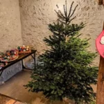 le sapin de Noël de Family Ecolodge Puisaye prêt à être décoré par les enfants en vacances d'hiver