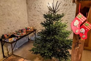 le sapin de Noël de Family Ecolodge Puisaye prêt à être décoré par les enfants en vacances d'hiver