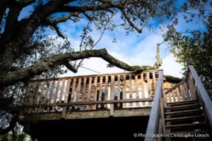 la terrasse de la cabane perchée dans les arbres "écureuil"