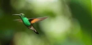Des vacances écologiques & écoresponsables en famille en France