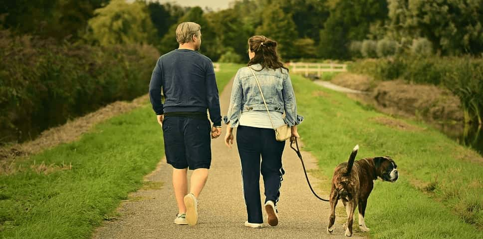 week-end en amoureux avec son chien