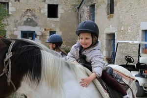 Vacances nature, cheval, âne et animaux, lieu de vacances proches d'une ferme équestre