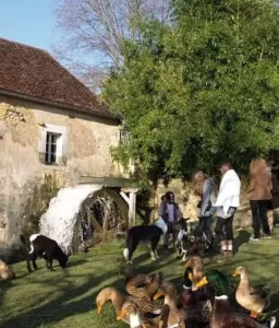le Moulin de Vanneau, restaurant à la ferme