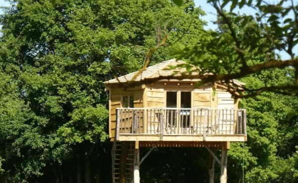 cabane perchée dans les arbres famille