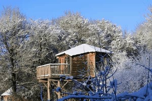 cabane dans les arbres en hiver