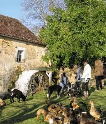 le moulin de Vanneau à Saints-en-Puisaye
