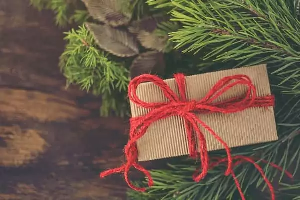 bon cadeau cabane