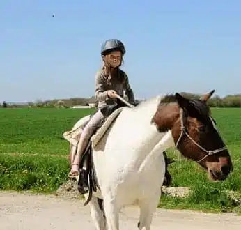 cheval