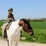 cheval, balade à cheval pendant son week-end ou ses vacances