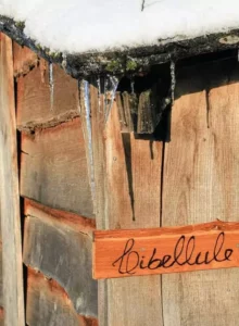 cabane la Libellule en hiver