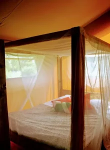 tente safari avec lit avec une moustiquaire, comme en Afrique dans les safaris