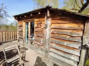 cabane_sur_eau_libellule_015