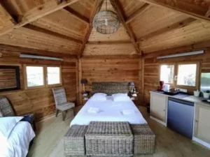 cabane_sur_eau_libellule_020