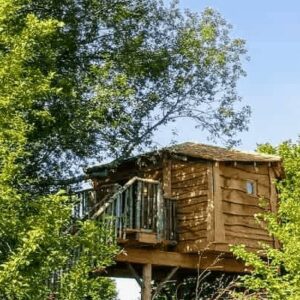 cabane dans les arbres