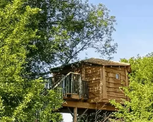 Cabane Écureuil : un cocon perché dans les arbres pour une escapade nature en famille, entre détente, jeux et déconnexion totale.