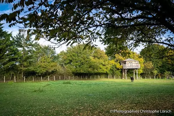 cabane en automne, saison du brame du cerf