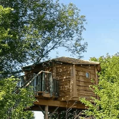 cabane dans les arbres