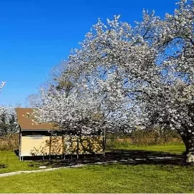 le safari-lodge de Family Ecolodge Puisaye, vacances d'été nature en mode glamping en France