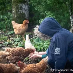 un enfant donne du grain aux poules, nourrir les animaux de la mini-ferme pendant des vacances d'été en famille ou un transfert IME ITEP MECS, c'est possible à Family Ecolodge ...