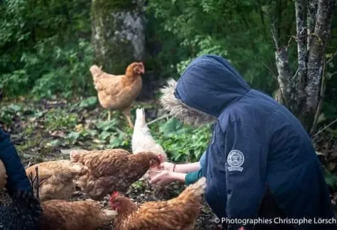 nourrir les animaux de la mini-ferme pendant des vacances d'été en famille ou un transfert IME ITEP MECS ...