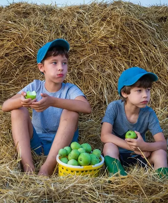 Family Ecolodge : Vivez une Aventure Inoubliable en Famille