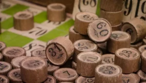 loto, une animation pour vos vacances insolites et écologiques en famille à Family Ecolodge Puisaye