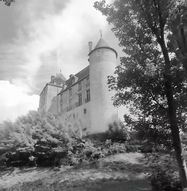 vue extérieure du château de Saint-brisson