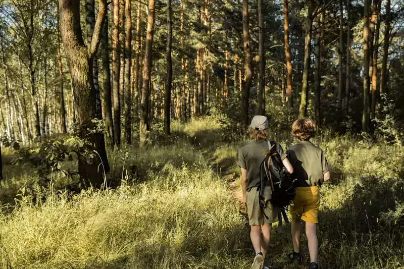 des enfants marchent dans la forêt, une scène courante à côté de Family Ecolodge, hébergement et séjour écologiques en France, entre Bourgogne et Centre Val de Loire, où comment passer de bonnes vacances en famille