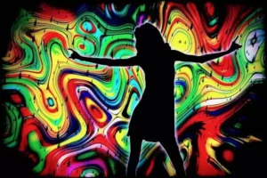 dancefllor 70's à Family Ecolodge Puisaye, un lieu insolite pour fêter un anniversaire 40 ans, 50 ans, 60 ans, 70 ans, 80 ans