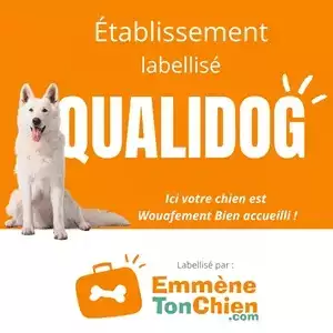 le label Qualidog & Family Ecolodge Puisaye, pour des vacnaces inoslites en France avec son chien