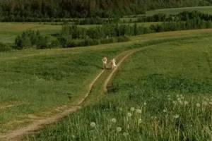 2 personnes font du vélo dans la nature, à côté de Family Ecolodge Puisaye, une idée de lieu de vacances écologique