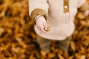 un enfant a trouvé une feuille marron, , une animation vacances gratuite de Family Ecolodge Puisaye