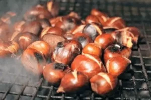 des châtaignes grillent sur un feu de camp, pendant des vacances de Toussaint en famille à Family Ecolodge Puisaye