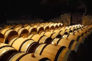 Vignobles : Sancerre, Coteaux du Giennois, Pouilly sur Lore, Chablis, Coulanges la vineuse ...