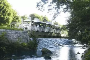 Petit train