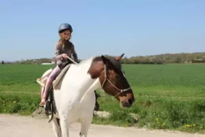 Randonnée à cheval