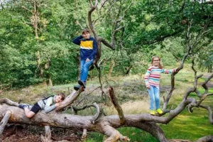 Des enfants jouent dans la nature durant leurs vacances à Family Ecolodge