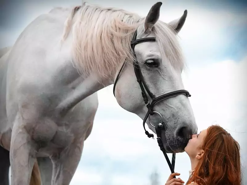 une adolescente embrasse un cheval blanc, fêter le nouvel an en famille avec les enfants à Family Ecolodge Puisaye, en France