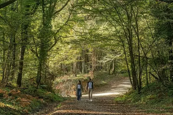 un couple se promène dans une forêt de Puisaye, pendant leur week-end digital detox en amoureux