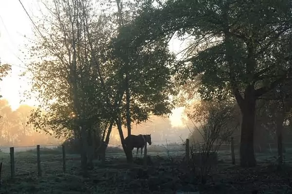 la brume matinale sur la campagne de Puisaye, ambiance cocooning pour un weekend digital detox en amoureux, en hiver