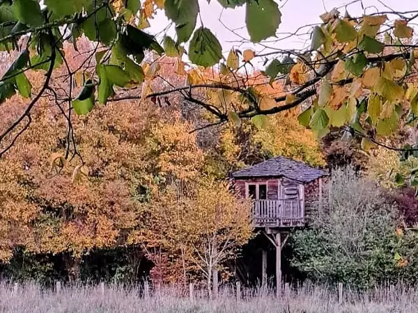 La cabane perchée les 3 chouettes, un exemple de notre guide complet de l'hébergement insolite