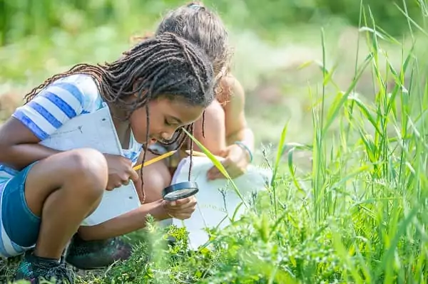 Des enfants explorent la nature durant leurs vacances insolites et déconnectées.