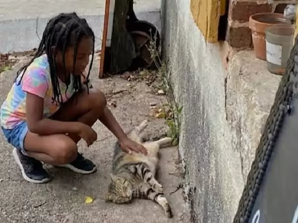 une jeune fille carresse Ornicar, le chat de Family Ecolodge Puisaye, pendant des vacances en famille placées sous le signe du tourisme durable