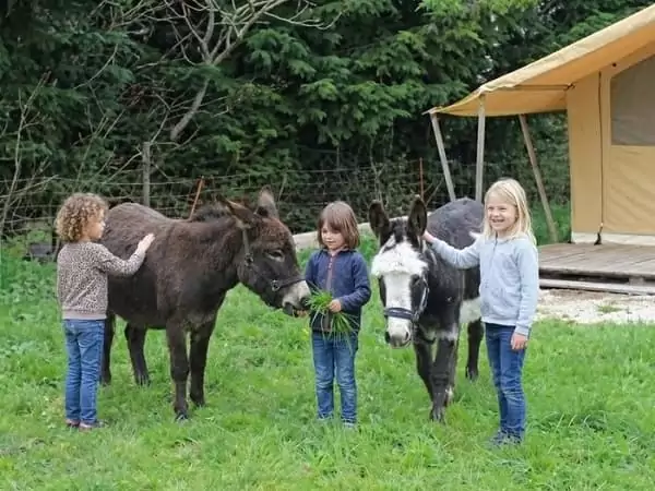 des enfants nourrissent les ânes de la mini ferme de Family Ecolodge Puisaye, pendant des vacances en famille placées sous le signe du tourisme durable
