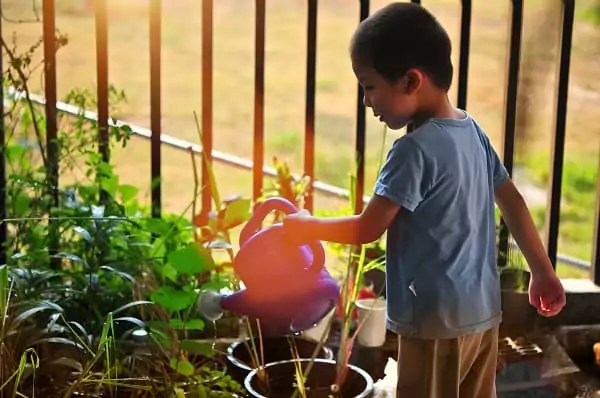 un enfant arrose les plants du potager, pendant des vacances en famille placées sous le signe de l'écotourisme en famille