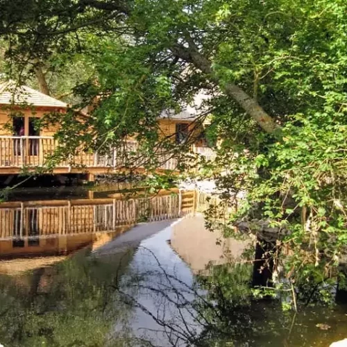 Cabane sur l’eau Libellule au Family Ecolodge Puisaye en été