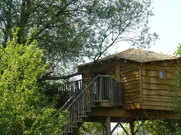une cabane dans les arbres de Family Ecolodge, hébergement idéal pour un EVJF écolo.