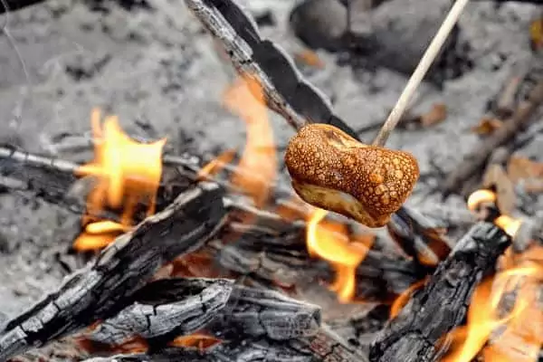 Un feu de camp et des chamallows pendant votre EVJF ecolo