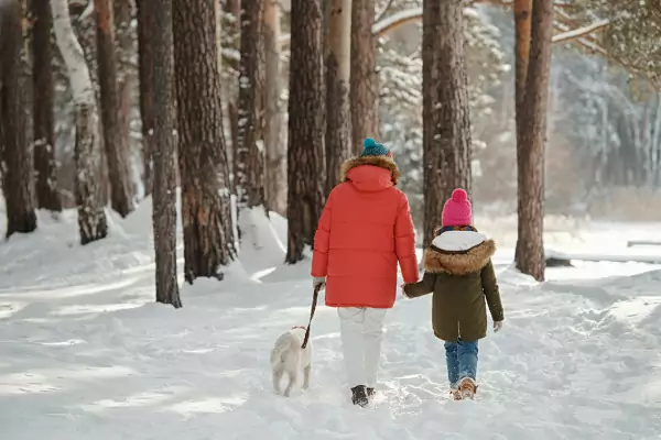 un parent, son enfant et son chien se promènent en forêt en hiver, sous la neige, pendant les vacances de février